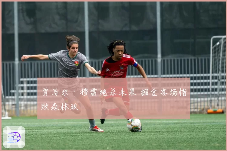 贾马尔·穆雷绝杀未果 掘金客场惜败森林狼